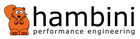Hambini Engineering Logo