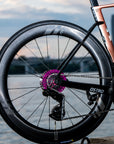 NEW FARSPORTS 2026 EVO C Series Disc Brake Wheels